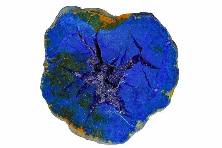 Vivid Blue, Cut/Polished Azurite Nodule - Siberia #175553